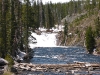 Yellowstone National Park 060